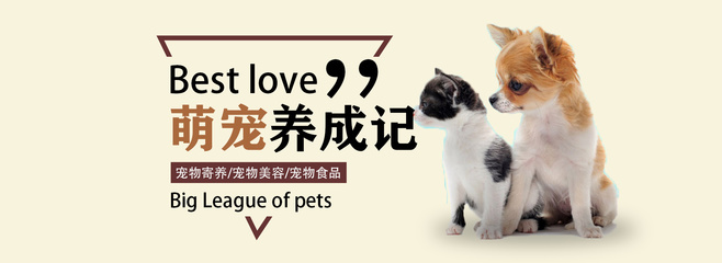 狂飙和孙艺珍多少集